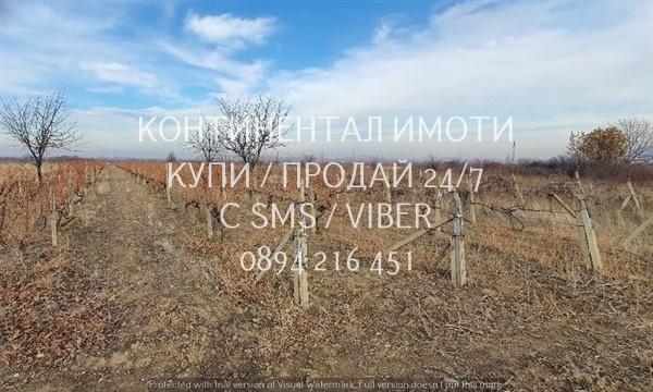 Продавам земеделска земя - 2 дка. -  лозе. област Пловдив, с. Устина