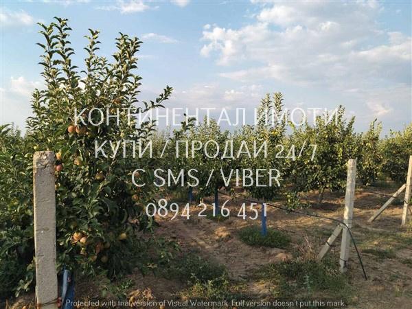Продавам земеделска земя - 4 дка. -  овощна градина. област Пловдив, гр. Перущица