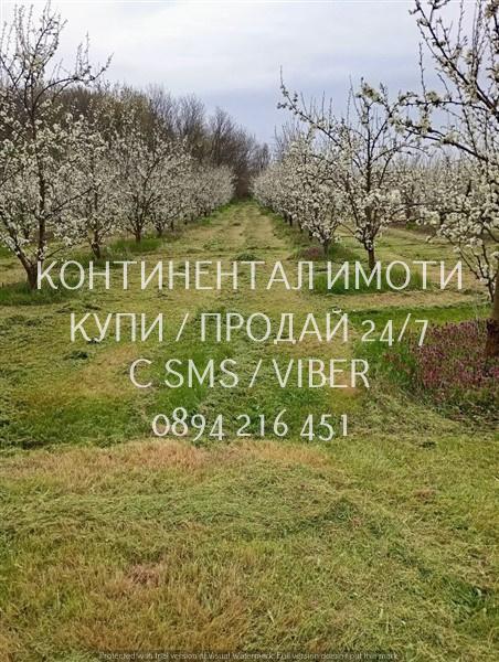 Продавам земеделска земя - 17 дка. -  овощна градина. област Пловдив, с. Житница