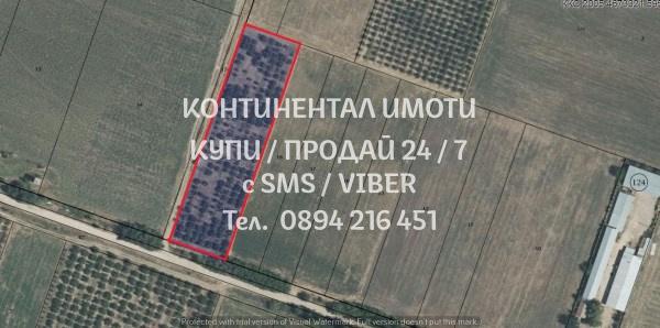 Продавам земеделска земя - 6 дка. -  овощна градина. област Пловдив, с. Цалапица